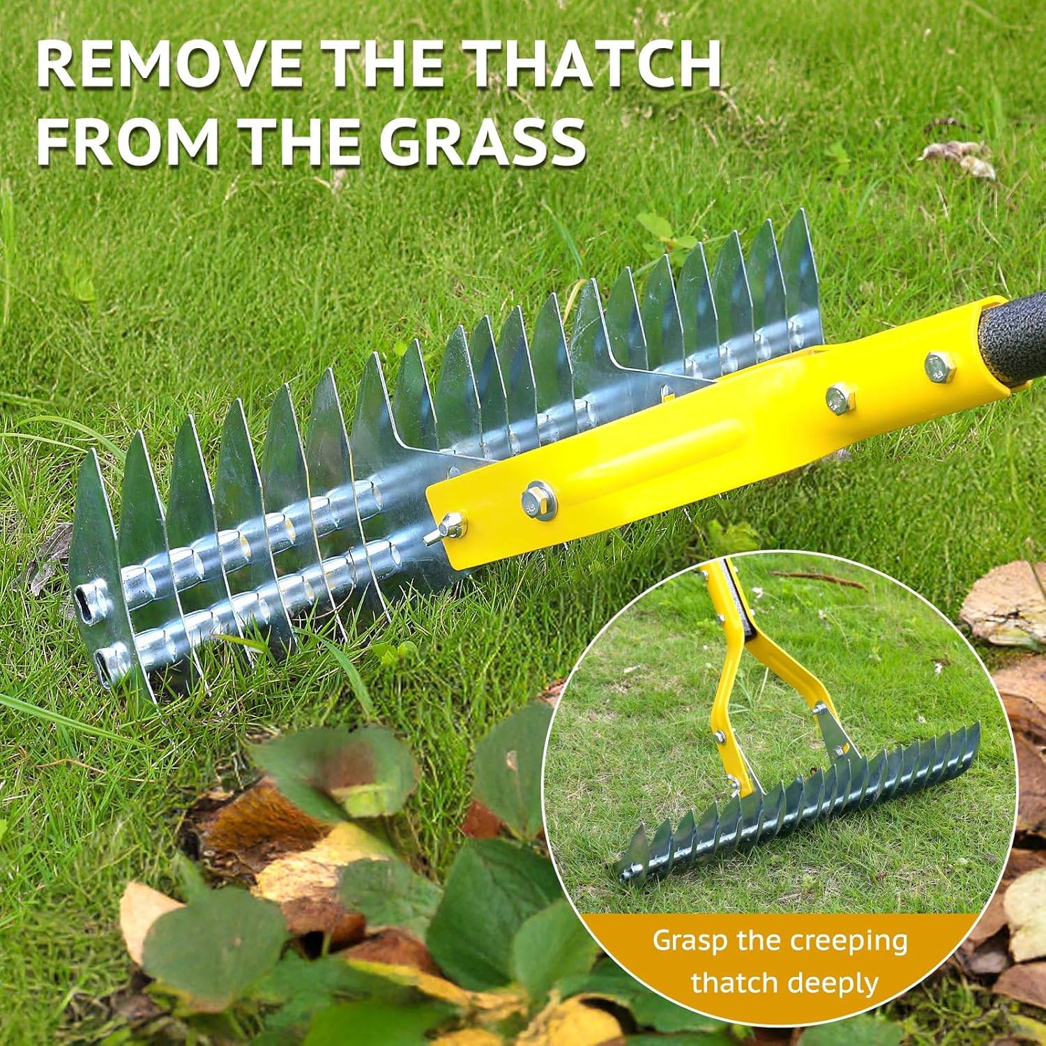 Lawn Thatcher Rake