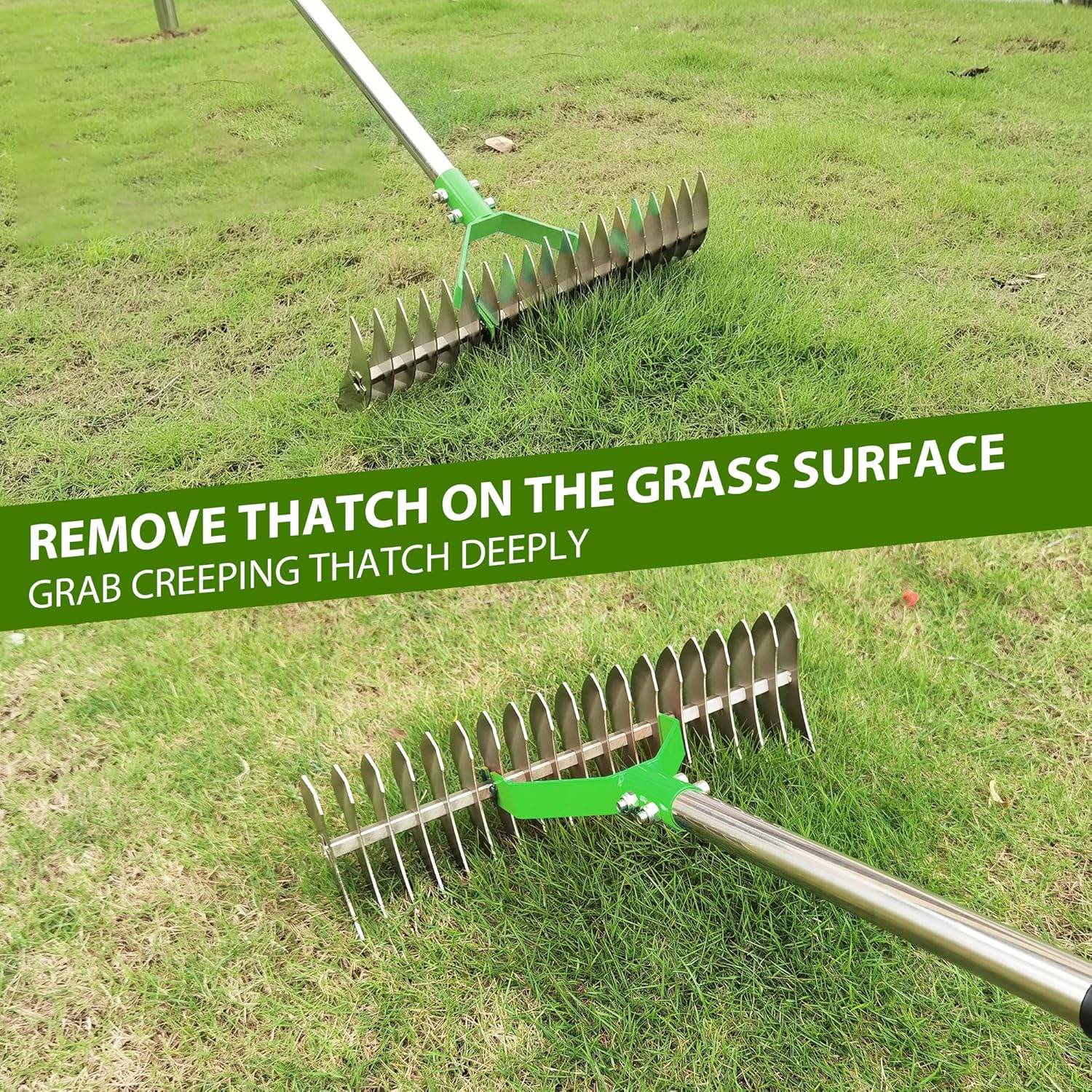 Lawn Thatcher Rake
